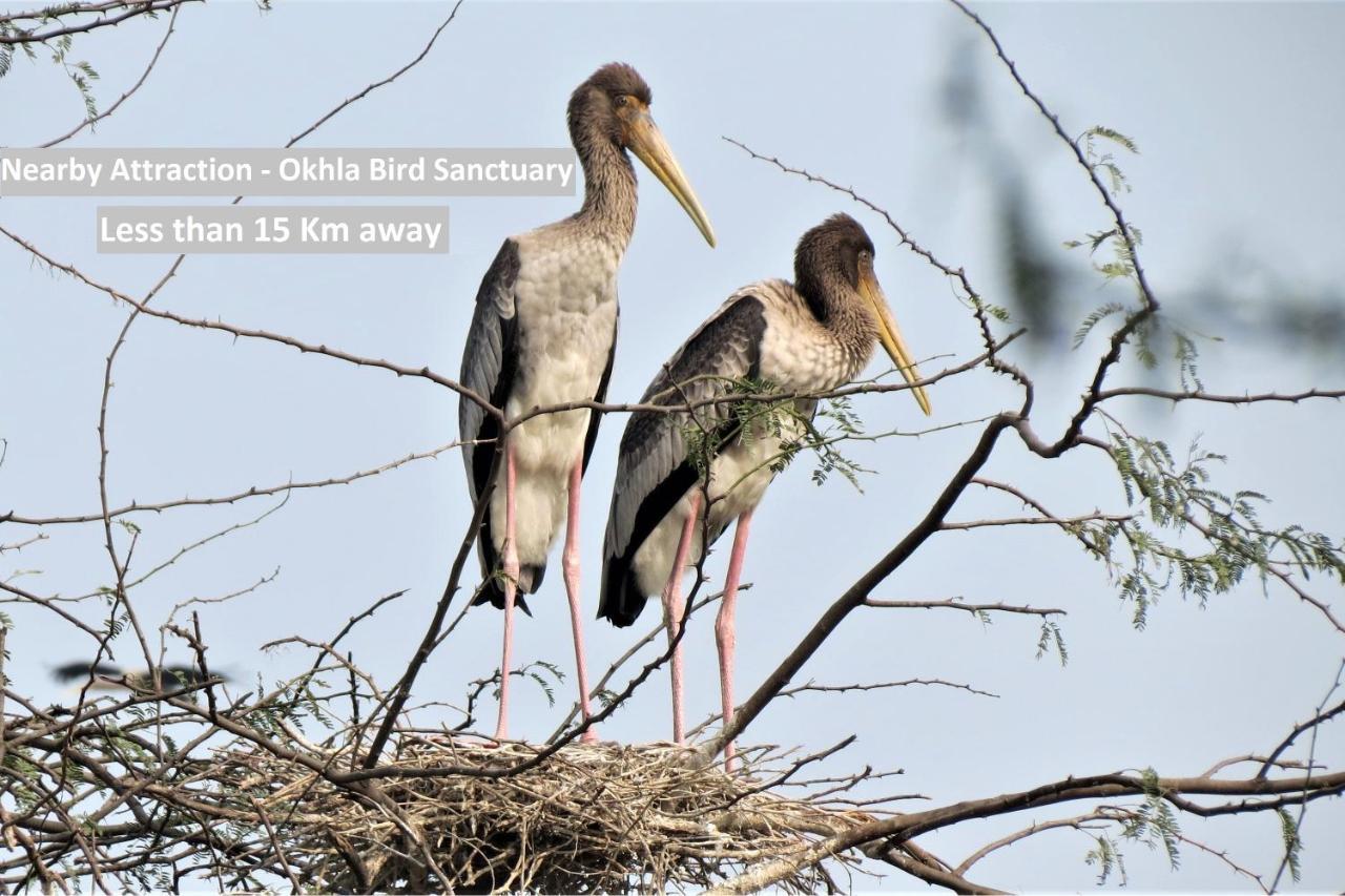 Oyo 78981 The Diamond Nest Ноида Екстериор снимка